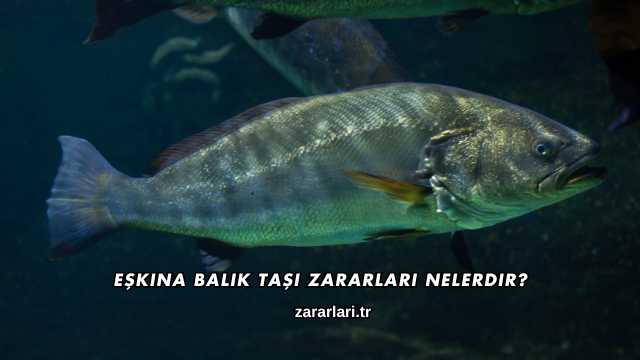 Eşkina Balık Taşı Zararları Nelerdir?