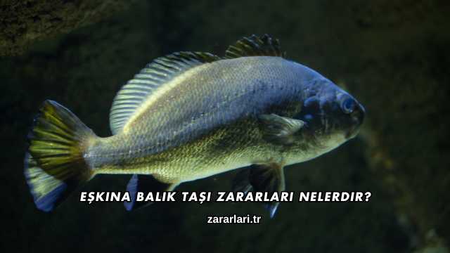 Eşkina Balık Taşı Zararları Nelerdir?