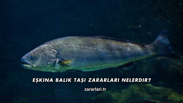 Eşkina Balık Taşı Zararları Nelerdir?