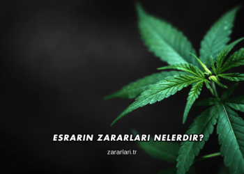 Esrarın Zararları Nelerdir?