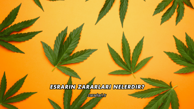 Esrarın Zararları Nelerdir?