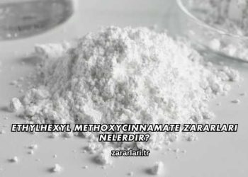Ethylhexyl Methoxycinnamate Zararları Nelerdir?