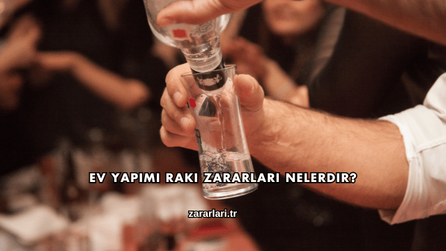 Ev Yapımı Rakı Zararları Nelerdir?