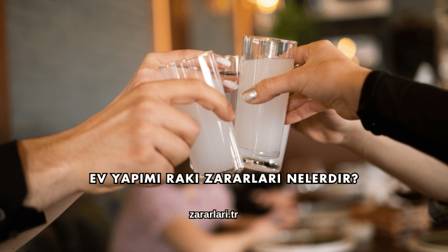 Ev Yapımı Rakı Zararları Nelerdir?
