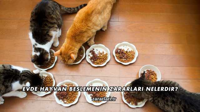 Evde Hayvan Beslemenin Zararları Nelerdir?