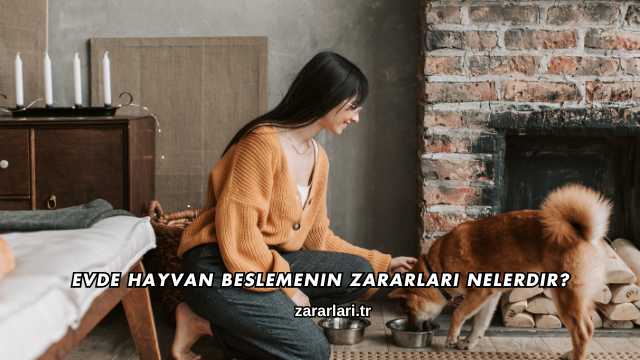 Evde Hayvan Beslemenin Zararları Nelerdir?