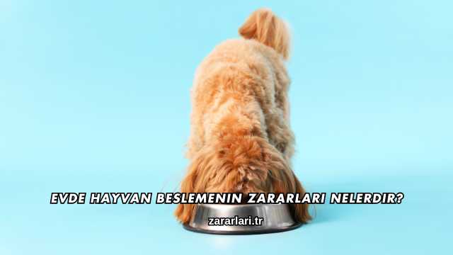 Evde Hayvan Beslemenin Zararları Nelerdir?