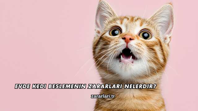 Evde Kedi Beslemenin Zararları Nelerdir?