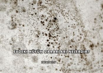 Evdeki Küfün Zararları Nelerdir?