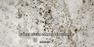 Evdeki Küfün Zararları Nelerdir?