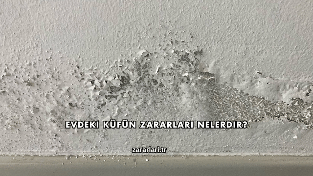 Evdeki Küfün Zararları Nelerdir?