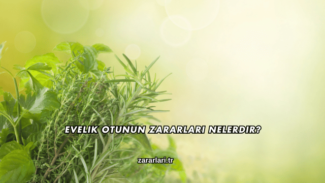 Evelik Otunun Zararları Nelerdir?