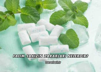 Falım Sakızın Zararları Nelerdir?