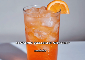 Fantanın Zararları Nelerdir?