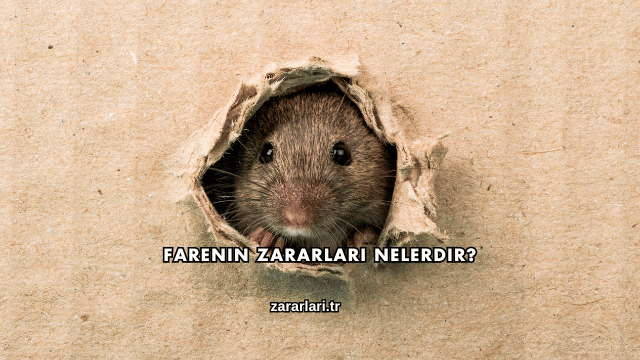Farenin Zararları Nelerdir?