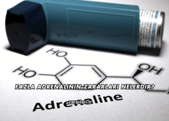 Fazla Adrenalinin Zararları Nelerdir?