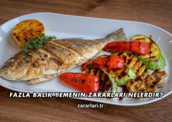 Fazla Balık Yemenin Zararları Nelerdir?