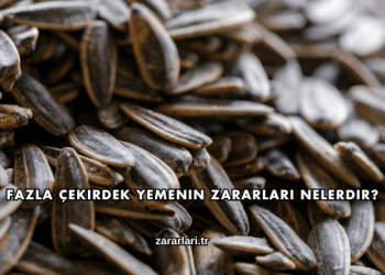 Fazla Çekirdek Yemenin Zararları Nelerdir?