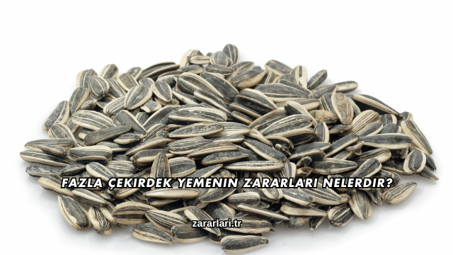 Fazla Çekirdek Yemenin Zararları Nelerdir?