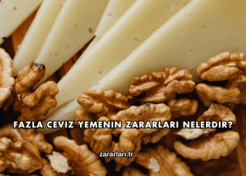 Fazla Ceviz Yemenin Zararları Nelerdir?