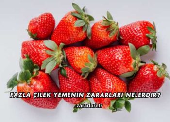 Fazla Çilek Yemenin Zararları Nelerdir?