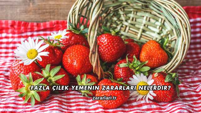 Fazla Çilek Yemenin Zararları Nelerdir?