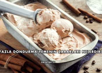 Fazla Dondurma Yemenin Zararları Nelerdir?