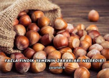 Fazla Fındık Yemenin Zararları Nelerdir?