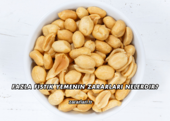 Fazla Fıstık Yemenin Zararları Nelerdir?