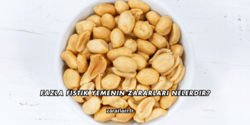 Fazla Fıstık Yemenin Zararları Nelerdir?