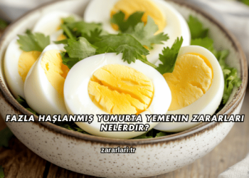 Fazla Haşlanmış Yumurta Yemenin Zararları Nelerdir?