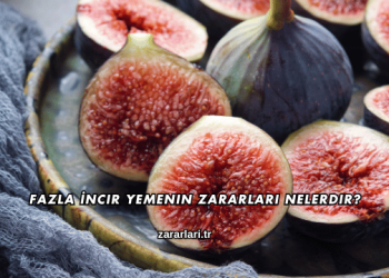 Fazla İncir Yemenin Zararları Nelerdir?
