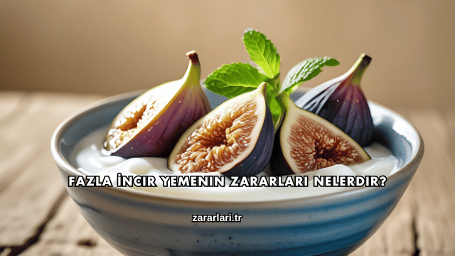 Fazla İncir Yemenin Zararları Nelerdir?