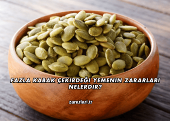 Fazla Kabak Çekirdeği Yemenin Zararları Nelerdir?