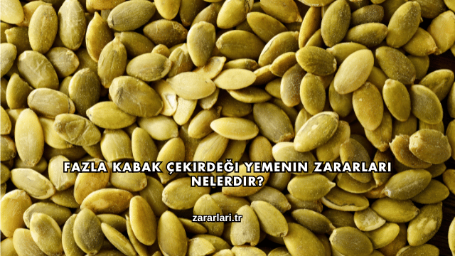 Fazla Kabak Çekirdeği Yemenin Zararları Nelerdir?