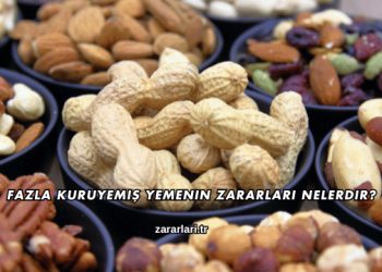 Fazla Kuruyemiş Yemenin Zararları Nelerdir?