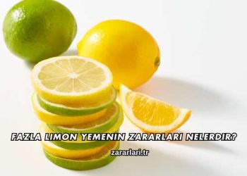 Fazla Limon Yemenin Zararları Nelerdir?