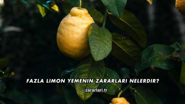 Fazla Limon Yemenin Zararları Nelerdir?