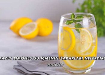 Fazla Limonlu Su İçmenin Zararları Nelerdir?