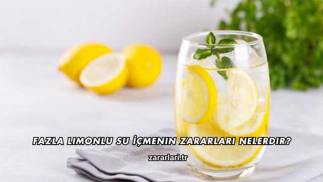 Fazla Limonlu Su İçmenin Zararları Nelerdir?