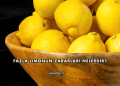 Fazla Limonun Zararları Nelerdir?