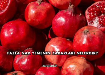 Fazla Nar Yemenin Zararları Nelerdir?