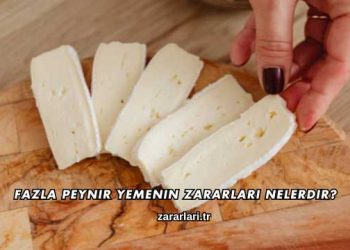 Fazla Peynir Yemenin Zararları Nelerdir?