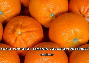 Fazla Portakal Yemenin Zararları Nelerdir?