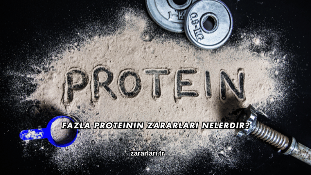 Fazla Proteinin Zararları Nelerdir?