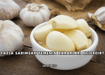 Fazla Sarımsak Yemenin Zararları Nelerdir?