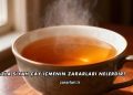 Fazla Siyah Çay İçmenin Zararları Nelerdir?