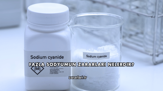 Fazla Sodyumun Zararları Nelerdir?