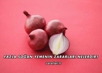Fazla Soğan Yemenin Zararları Nelerdir?