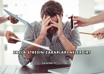 Fazla Stresin Zararları Nelerdir?
